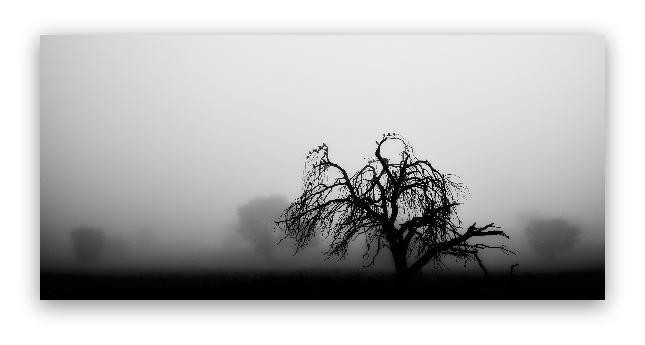 Invisible Secret