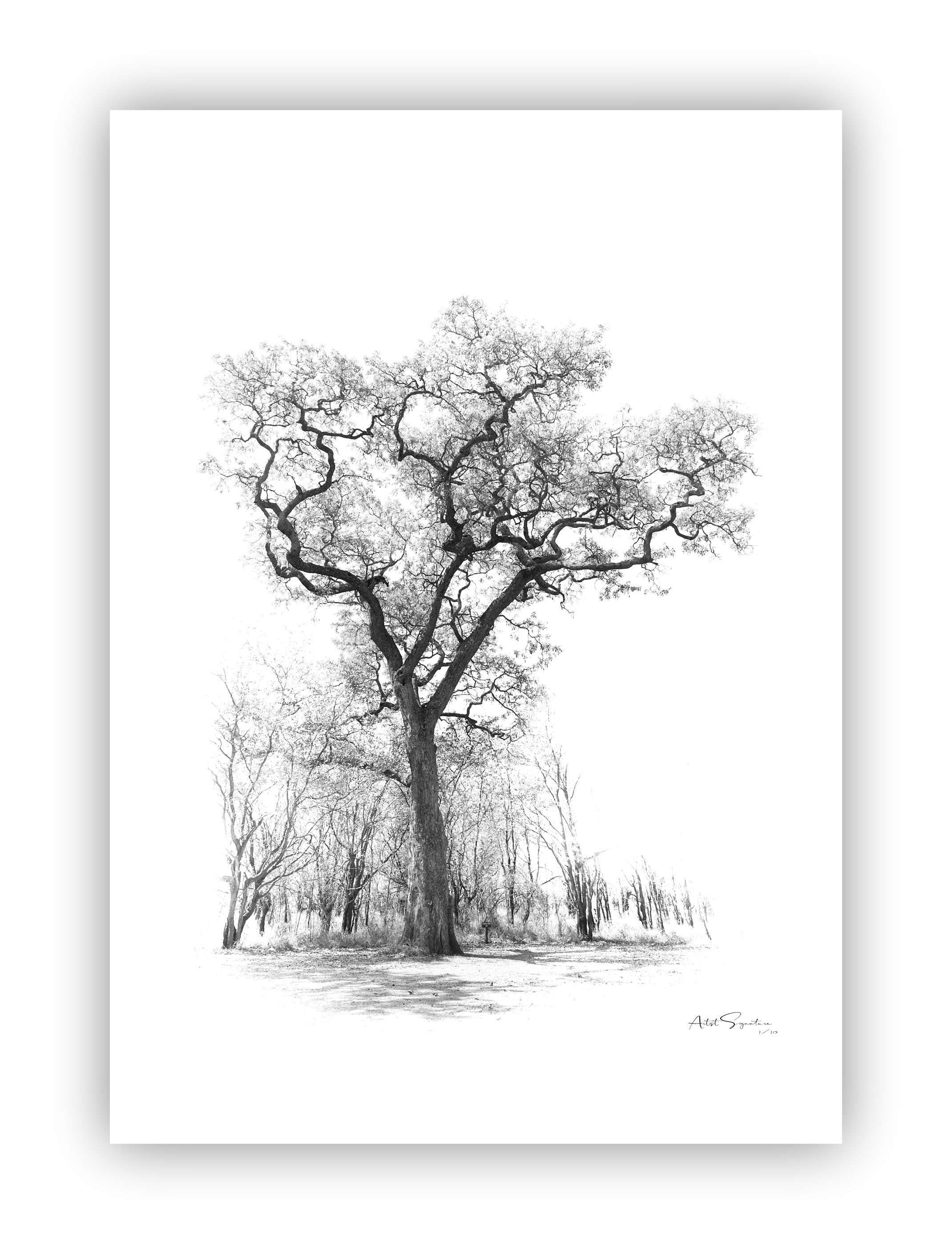 Tree Art #10